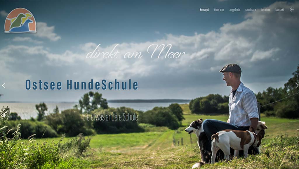 Webdesign Rügen